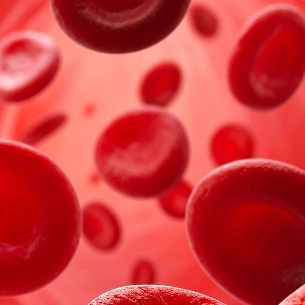 Nitrates (NO precursors)