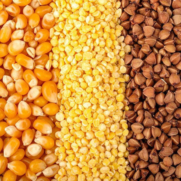 Vitamin B1 (Thiamine)