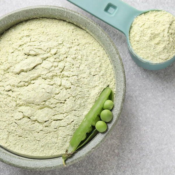 Pea Protein