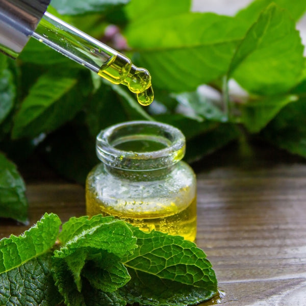 Peppermint Extract